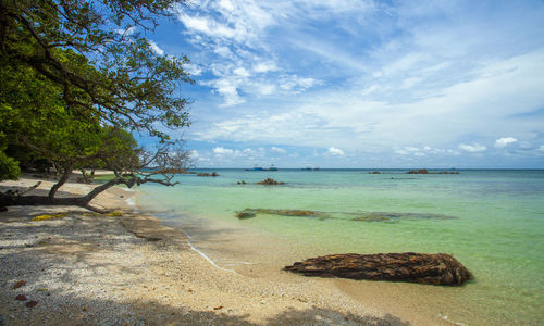 Scenic view of sea against sky