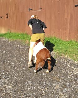 Rear view of man with dog walking on grass