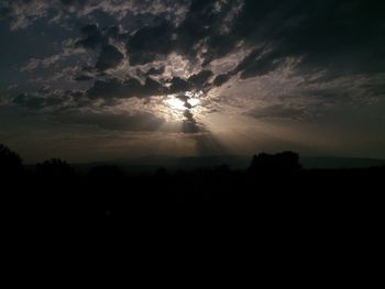 Silhouette of trees at sunset