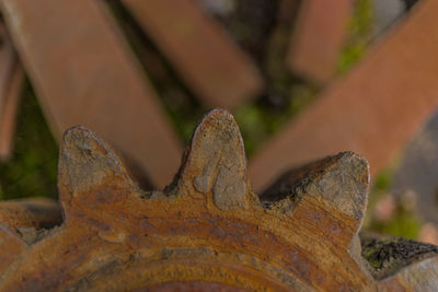 Close-up of rusty metal