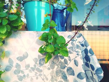 Close-up of potted plant on table