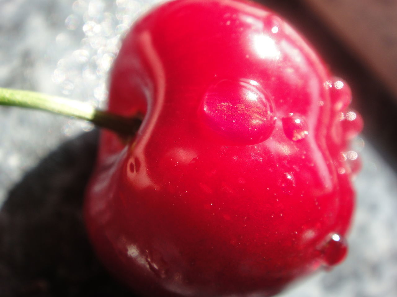 HIGH ANGLE VIEW OF RED BERRIES ON ICE