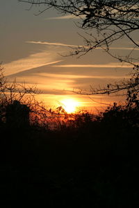 Silhouette trees on landscape against orange sky