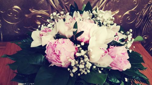 Close-up of pink rose