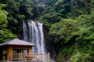 Scenic view of waterfall in forest