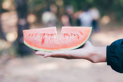 Cropped hand holding watermelon