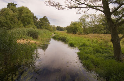 Scenic view of land against sky