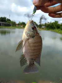 Close-up of hand holding fish