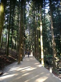 Rear view of man walking on road in forest