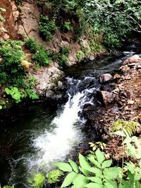 High angle view of waterfall in forest