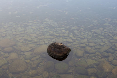 High angle view of stones in lake