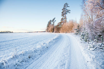 Snow covered road amidst trees against sky