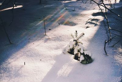 High angle view of snow covered land