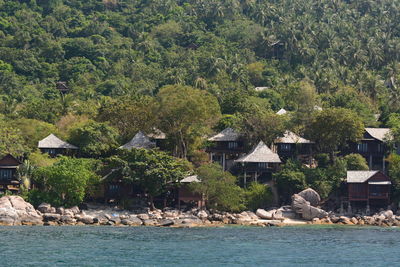 Trees and houses by sea against sky
