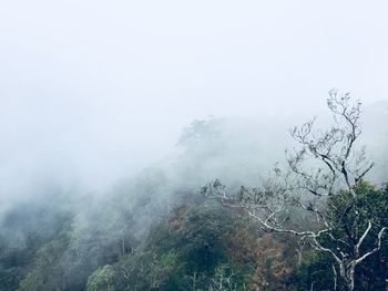 Scenic view of tree mountains against sky