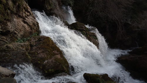 Scenic view of waterfall in forest
