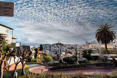 City street by palm trees against sky