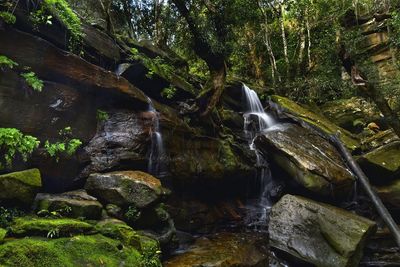 Stream flowing through rocks in forest