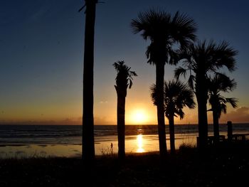 Silhouette palm trees on beach against sky during sunset