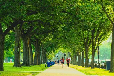 People walking in park