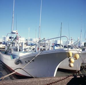 Sailboats moored at harbor against clear blue sky