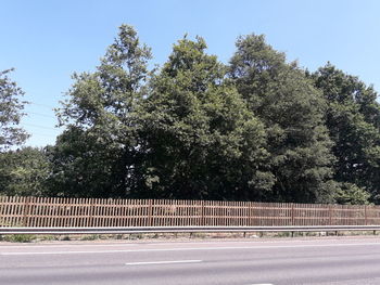 Empty road by trees against sky