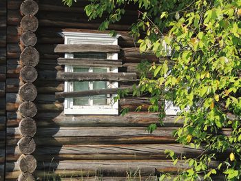 View of wooden structure in forest
