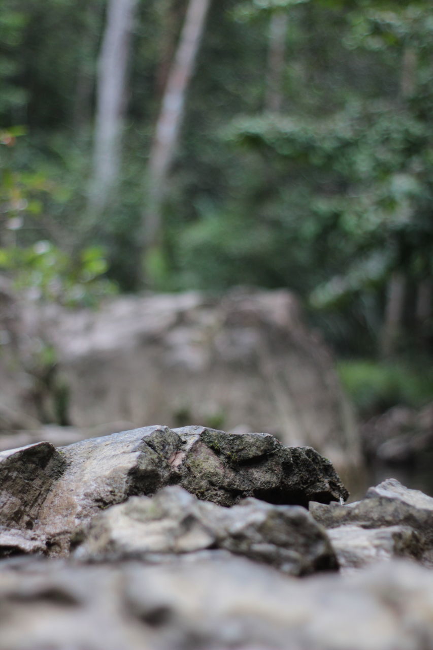 SURFACE LEVEL OF ROCKS ON ROCK IN FOREST