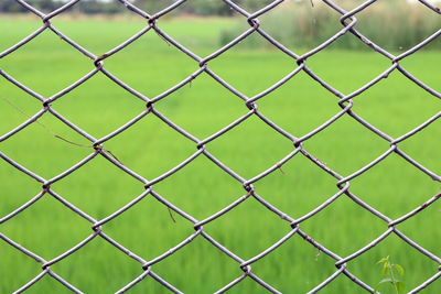 Full frame shot of chainlink fence against grassy field