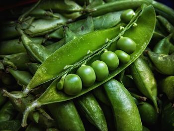 Full frame shot of green chili peppers