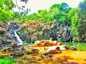 Scenic view of river in forest against sky