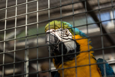 View of cage in zoo