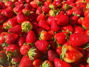 Natural strawberries displayed for sale in a street market