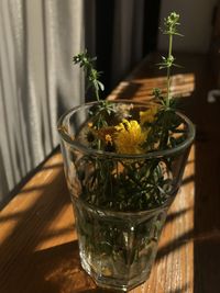 Close-up of potted plant in glass vase on table