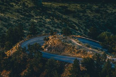 High angle view of road by trees