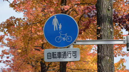 Close-up of road sign against tree trunk