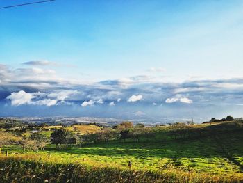 Scenic view of field against blue sky