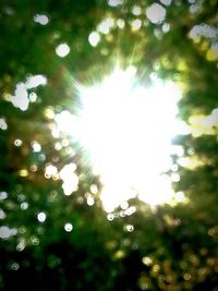 Close-up of water drops on leaf
