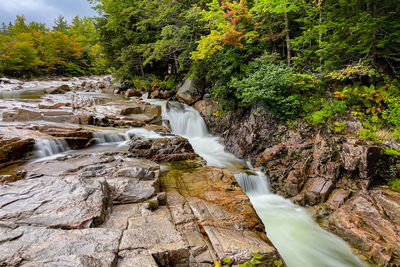 Scenic view of waterfall in forest