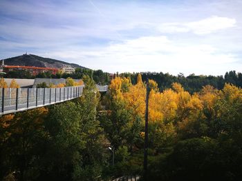 Scenic view of trees and mountains against sky