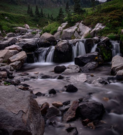 Scenic view of waterfall in forest