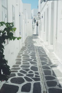 Cobblestone street amidst buildings