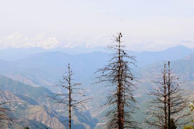 Scenic view of trees and mountains against sky