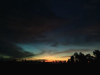 Silhouette of trees at sunset