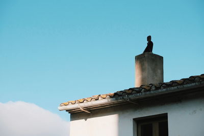 Low angle view of bird perching on building against sky