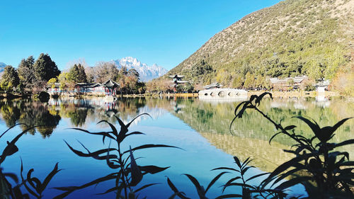 Scenic view of lake by trees against clear blue sky