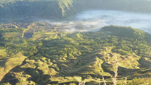 Scenic view of tree mountains against sky