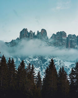 Scenic view of pine trees against dolomites and sky during winter