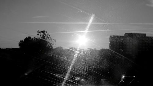 Illuminated trees against sky at night