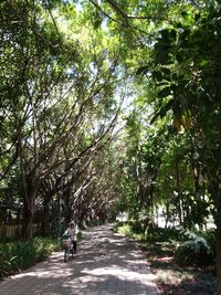 Rear view of people walking on footpath